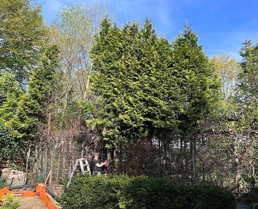 tuin-vooraf-maatwerk-overkapping-oisterwijk
